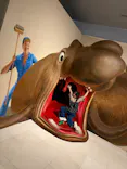 伊豆トリックアート迷宮館に投稿された画像（2026/5/7）