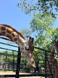 宇都宮動物園に投稿された画像（2026/5/7）
