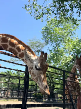 宇都宮動物園に投稿された画像（2026/5/7）
