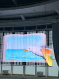 アクアワールド茨城県大洗水族館に投稿された画像（2026/5/7）