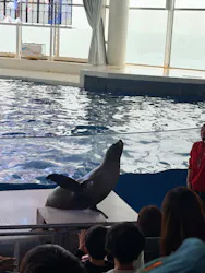 アクアワールド茨城県大洗水族館に投稿された画像（2026/5/7）