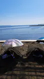 別府海浜砂湯「Sand SPA」に投稿された画像（2026/5/8）