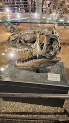 福井県立恐竜博物館に投稿された画像（2026/5/7）