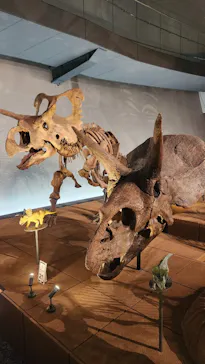 福井県立恐竜博物館に投稿された画像（2026/5/7）