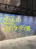 NAKED meets ガウディ展【大阪】に投稿された画像（2026/5/8）