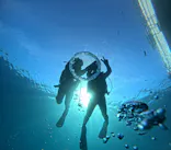 青の洞窟専門店　沖縄ダイビングショップ和に投稿された画像（2026/5/8）