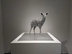 UESHIMA MUSEUMに投稿された画像（2026/5/7）