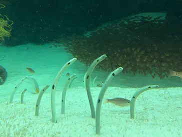 環境水族館アクアマリンふくしまに投稿された画像（2026/5/7）