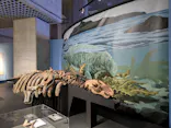 特別展「超危険生物展　科学で挑む生き物の本気」に投稿された画像（2026/5/8）