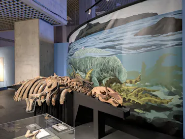 特別展「超危険生物展　科学で挑む生き物の本気」に投稿された画像（2026/5/8）