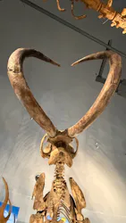 福井県立恐竜博物館に投稿された画像（2026/5/8）