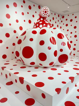 彫刻の森美術館に投稿された画像（2026/5/8）