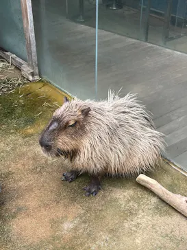 栃木県なかがわ水遊園に投稿された画像（2026/5/8）