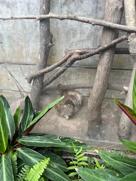 栃木県なかがわ水遊園に投稿された画像（2026/5/8）