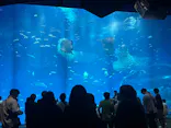 アクアワールド茨城県大洗水族館に投稿された画像（2026/5/8）
