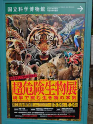 特別展「超危険生物展　科学で挑む生き物の本気」に投稿された画像（2026/5/8）