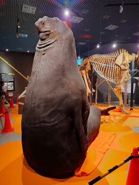 特別展「超危険生物展　科学で挑む生き物の本気」に投稿された画像（2026/5/8）