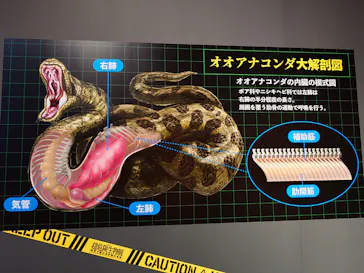 特別展「超危険生物展　科学で挑む生き物の本気」に投稿された画像（2026/5/8）