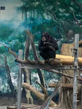 天王寺動物園に投稿された画像（2026/5/8）