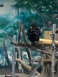天王寺動物園に投稿された画像（2026/5/8）
