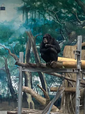 天王寺動物園に投稿された画像（2026/5/8）