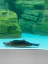 天王寺動物園に投稿された画像（2026/5/8）