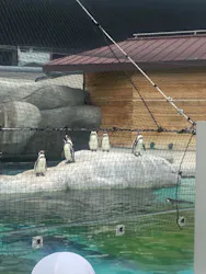 天王寺動物園に投稿された画像（2026/5/8）