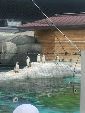 天王寺動物園に投稿された画像（2026/5/8）