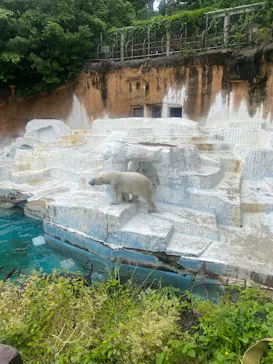 天王寺動物園に投稿された画像（2026/5/8）