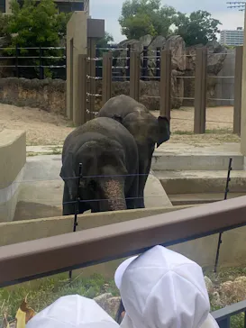 天王寺動物園に投稿された画像（2026/5/8）