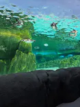 天王寺動物園に投稿された画像（2026/5/8）