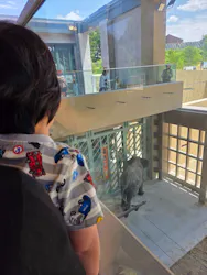 天王寺動物園に投稿された画像（2026/5/8）