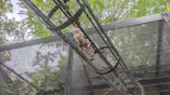 恩賜上野動物園に投稿された画像（2026/5/8）