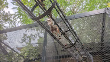 恩賜上野動物園に投稿された画像（2026/5/8）