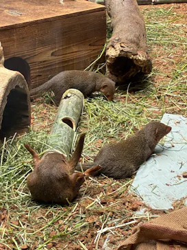恩賜上野動物園に投稿された画像（2026/5/8）