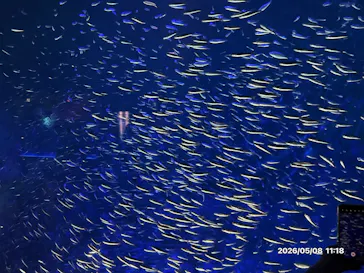 大分マリーンパレス水族館 「うみたまご」に投稿された画像（2026/5/8）