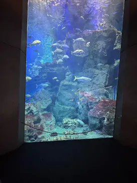 大分マリーンパレス水族館 「うみたまご」に投稿された画像（2026/5/8）