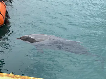 下田海中水族館に投稿された画像（2026/5/8）