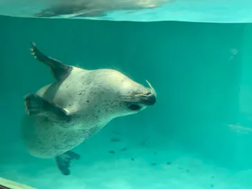 下田海中水族館に投稿された画像（2026/5/8）