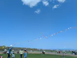 さっぽろ羊ヶ丘展望台に投稿された画像（2026/5/8）