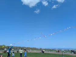 さっぽろ羊ヶ丘展望台に投稿された画像（2026/5/8）