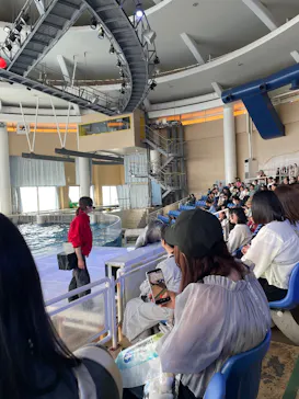 アクアワールド茨城県大洗水族館に投稿された画像（2026/5/8）