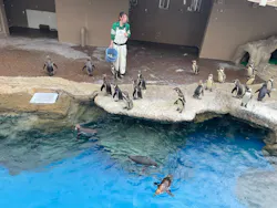 アクアワールド茨城県大洗水族館に投稿された画像（2026/5/8）
