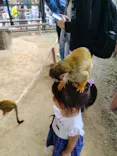 宇都宮動物園に投稿された画像（2026/5/8）