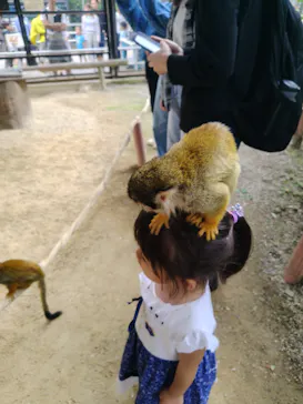 宇都宮動物園に投稿された画像（2026/5/8）