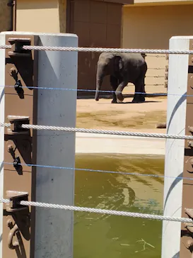 天王寺動物園に投稿された画像（2026/5/8）