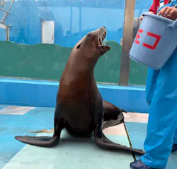 ゼロ距離水族館 伊勢シーパラダイスに投稿された画像（2026/5/8）