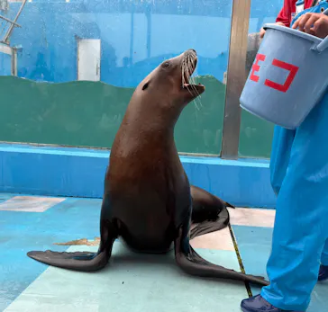 ゼロ距離水族館 伊勢シーパラダイスに投稿された画像（2026/5/8）