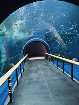 滋賀県立琵琶湖博物館に投稿された画像（2026/5/8）
