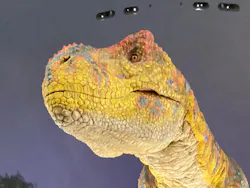 福井県立恐竜博物館に投稿された画像（2026/5/8）